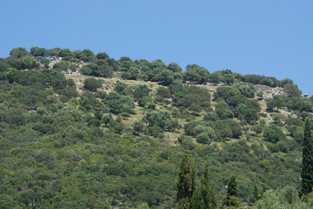 Sea Breeze Apartment Σάμη Εξωτερικό φωτογραφία